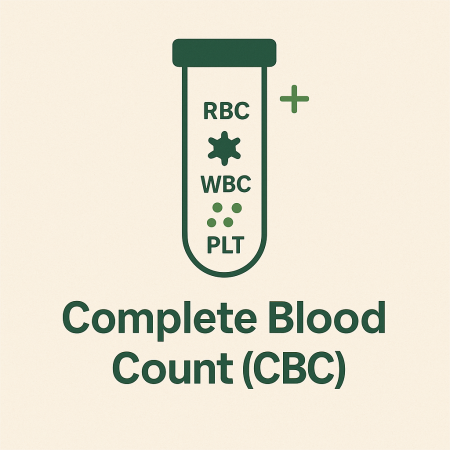 Complete Blood Count (CBC)