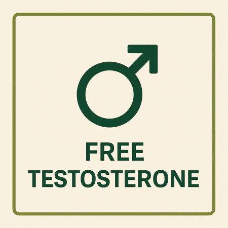 Free testosterone