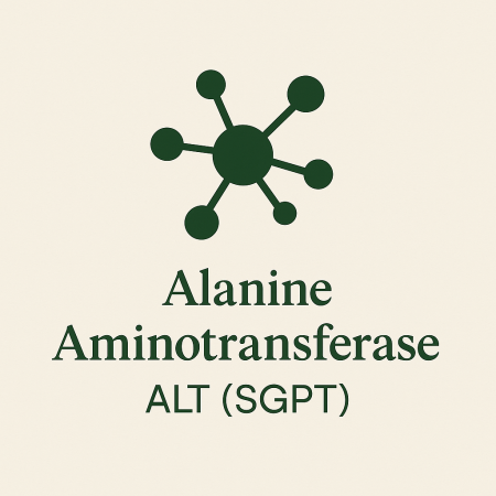Alanine Aminotransferase ALT (SGPT)