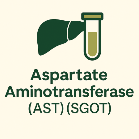 Aspartate Aminotransferase ( AST ) , (SGOT)