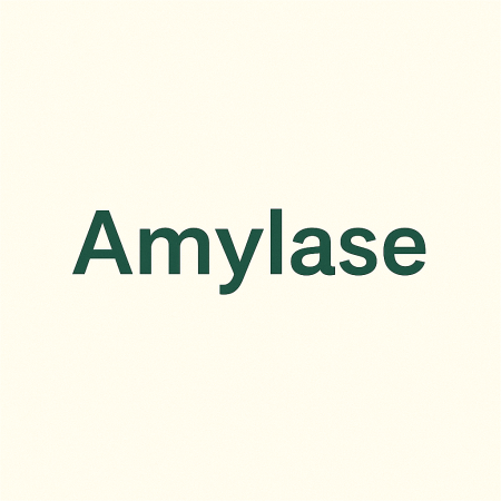 Amylase