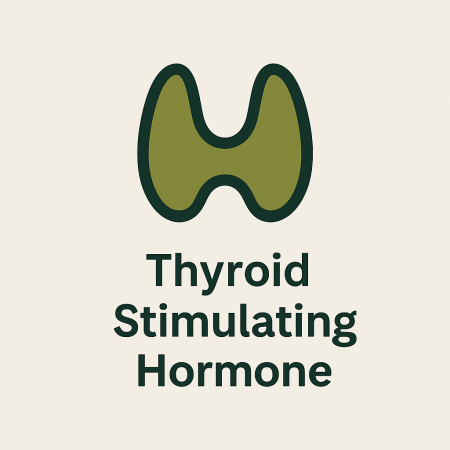 Thyroid Stimulating Hormone (TSH)
