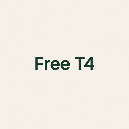 Free T4