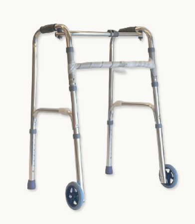 Two-Wheeled Walker