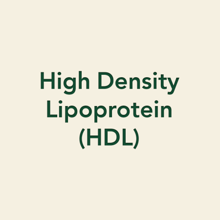 High Density Lipoprotein (HDL)