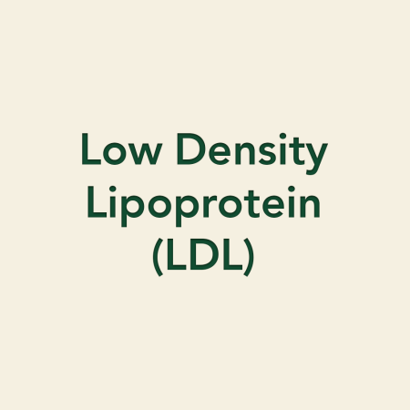 Low Density Lipoprotein (LDL)