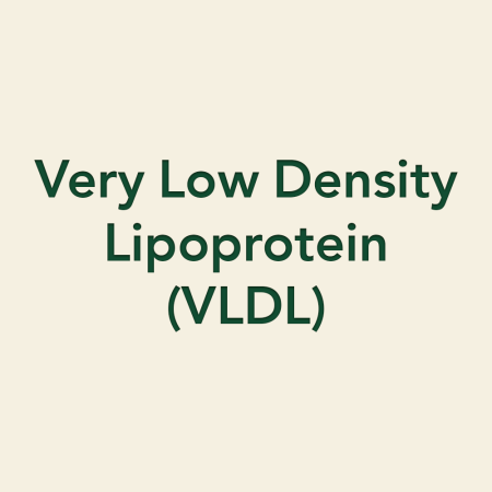 Very Low Density Lipoprotein (VLDL)