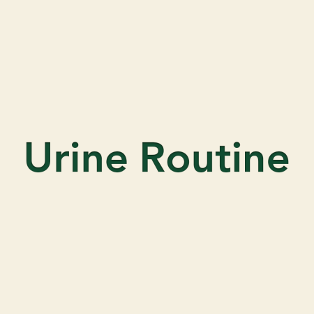 Urine Routine