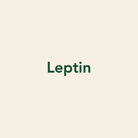 Leptin